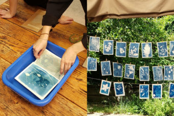 Initiation au cyanotype botanique /  Jessica Tara Bentley